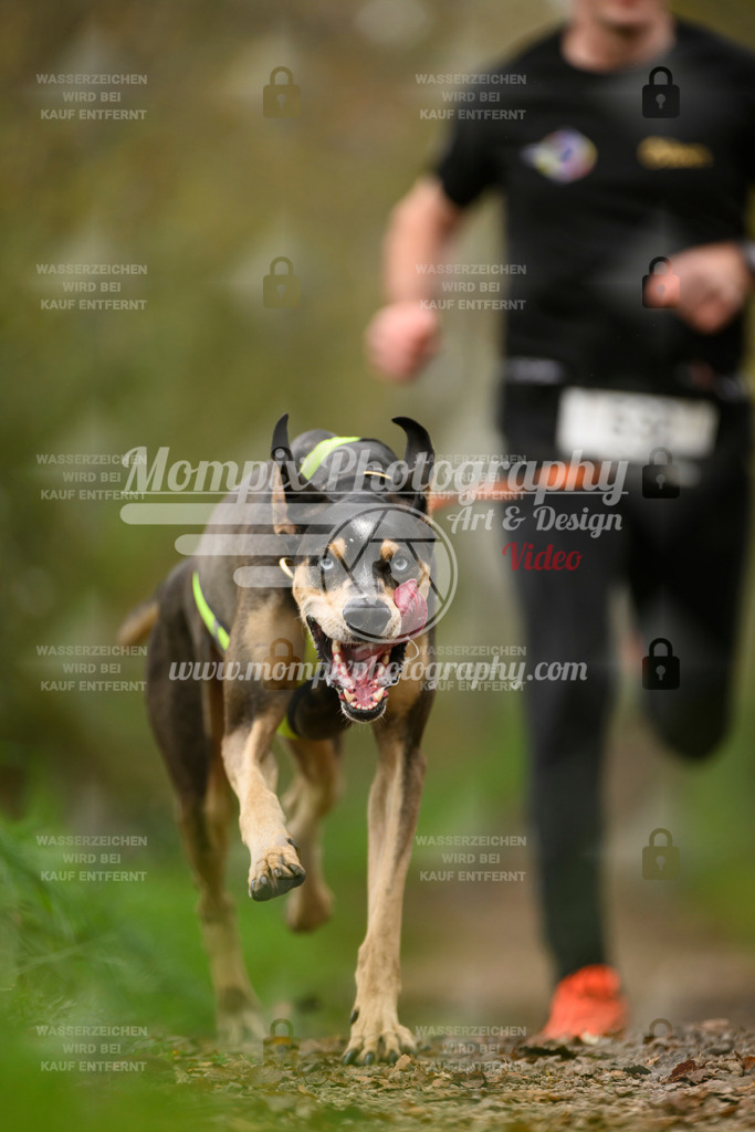 MompixPhotography_20TSB_E6_Run-117 | PayLife