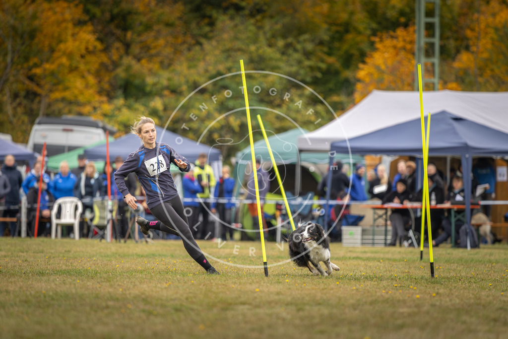 Pfotenfotografie_DV3A4050 | Hundefotografie, Tierfotograf, Pfotenfotografie, Fotoshooting Hund, Hunde Portrait, Hundesport, Hundeportraits, Heideshooting, Hunde, Sportfotograf, Hundefotograf, Turnierhundsport, THS,  - Realisiert mit Pictrs.com