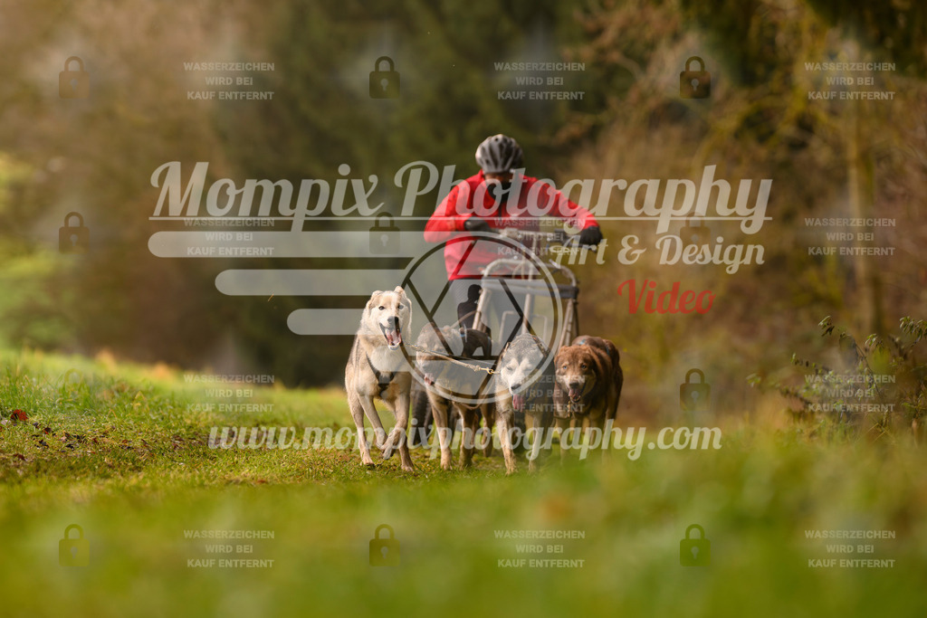 MompixPhotography_2SSTSSBW_2025_SO_Kart-10 | PayLife