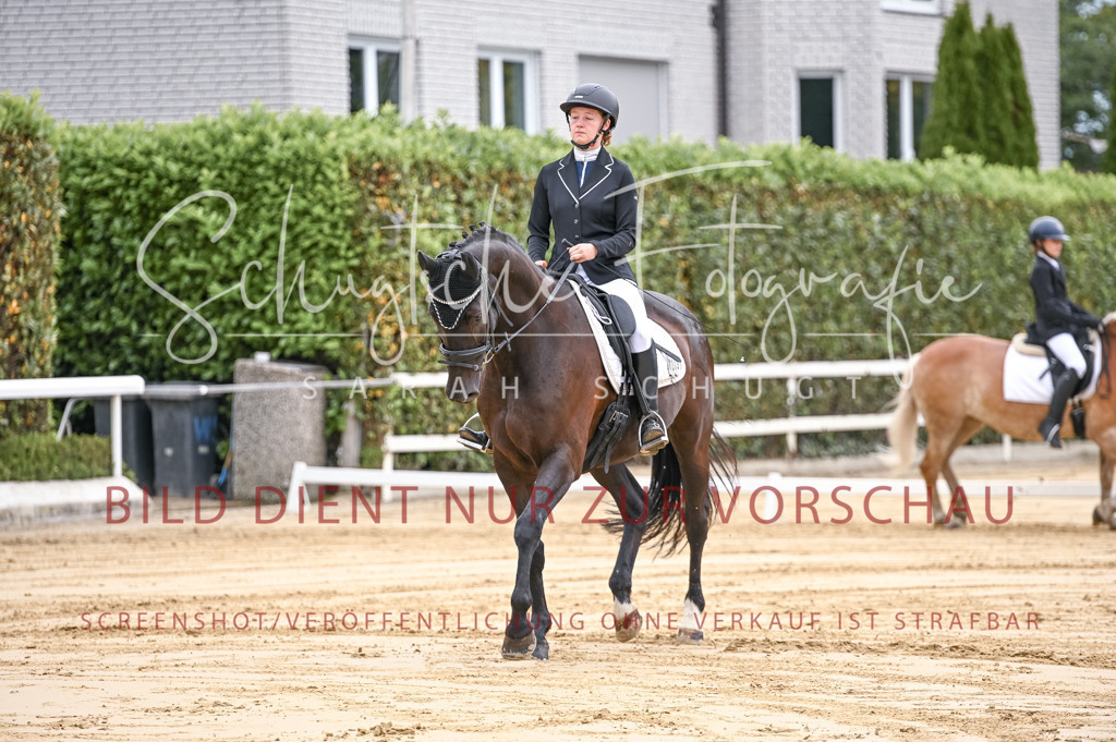 Schugtsche-Aluta25-42.EDressur -45 | Schugtsche Fotografie - Realisiert mit Pictrs.com