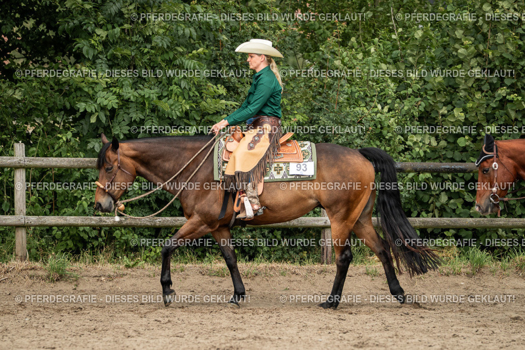 DSC03107 | Pferdegrafie