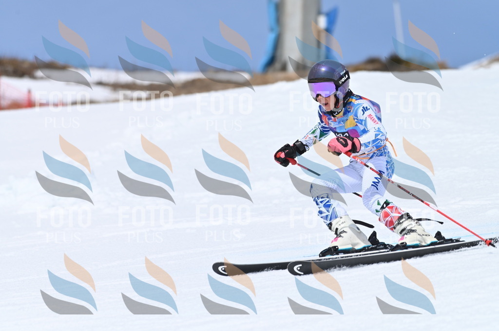 BGV_2338 | holidayphoto