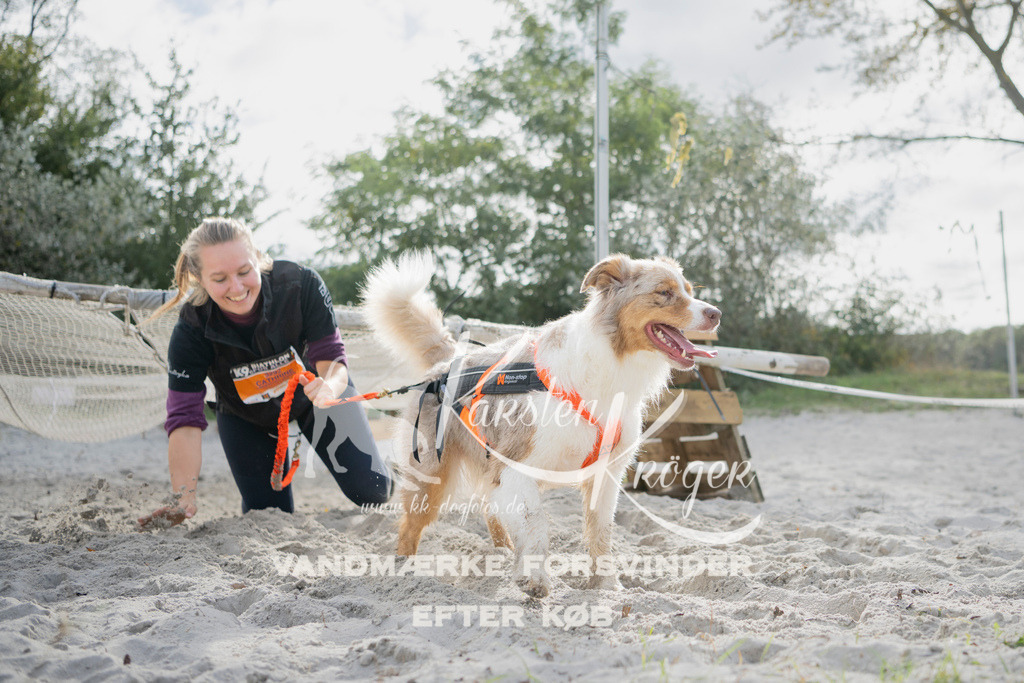 1326_ZZ97037 | kk-dogfotos