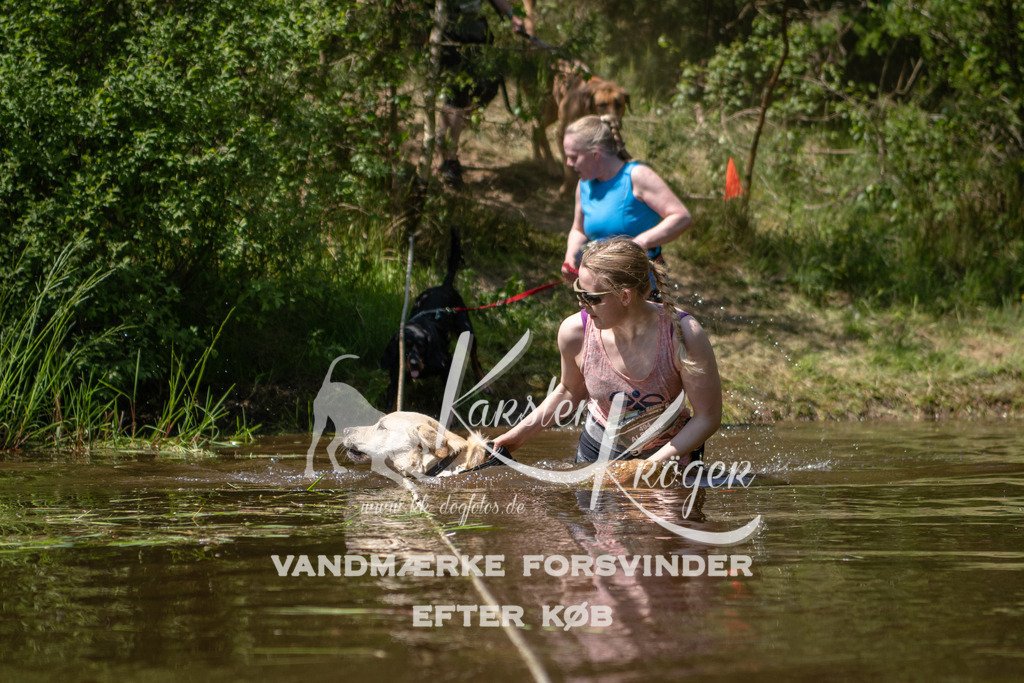 DK K991270141414 | kk-dogfotos