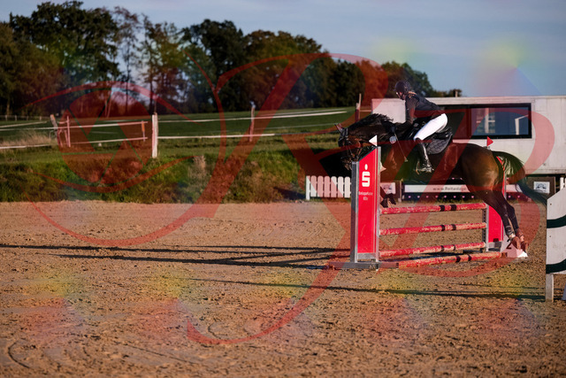 2026_10_03_Siefer-Hof_171851_Z81_16678607 | Professionelle Reitsport-, Turnier- und Eventfotografie von Robert Broda. Galerien mit ausgewählten und bearbeiteten Bildern direkt online ansehen und bestellen.