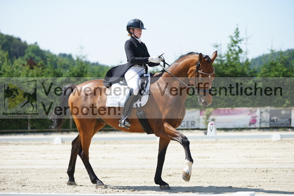 DSC02252 | equestrian-live-com
