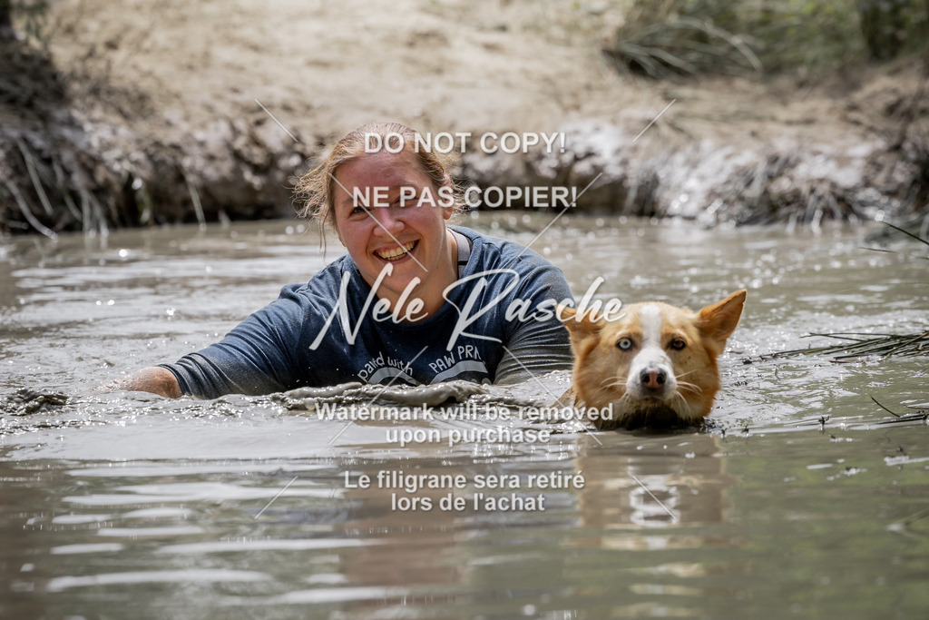 nelerasche_so1300-1330_13 | nelerasche