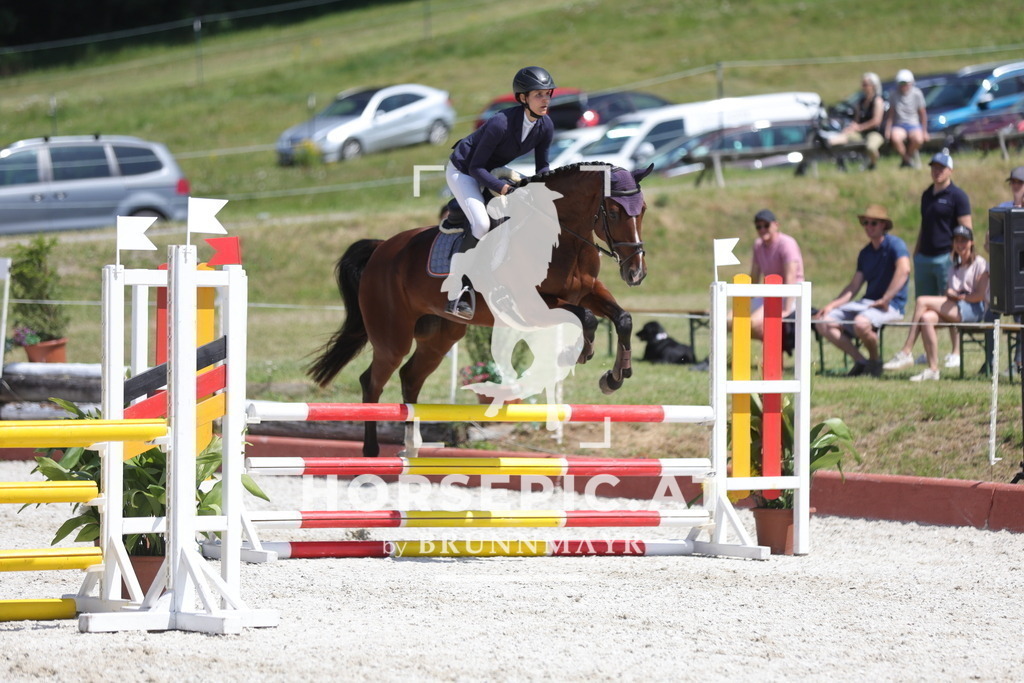 0P6A8336 | Willkommen bei Brunnmayr - Design & Fotografie – Ihrem Spezialisten für Reitturniere und Pferdeveranstaltungen in Oberösterreich, Salzburg und Bayern! Seit über 17 Jahren sind wir leidenschaftlich dabei.