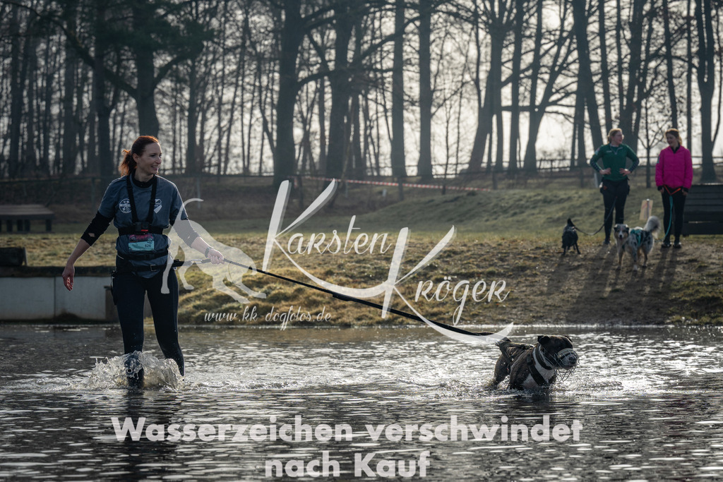 0933_ZZ92287 | kk-dogfotos
