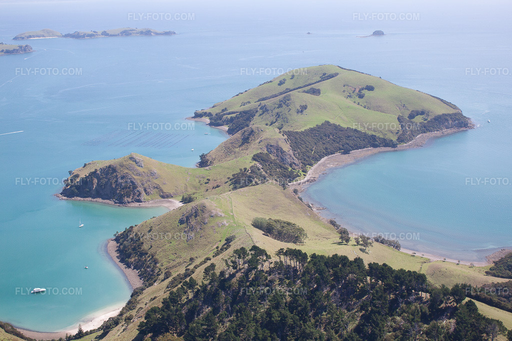 Aerial view: View of the town in Whanganui Island in the state Waikato, New Zealand. – Photo: IMG_55710.jpg taken on 01/12/2013 by Werner Riehm/FLY-FOTO.com – Resolution of the original: 4752 x 3168 px