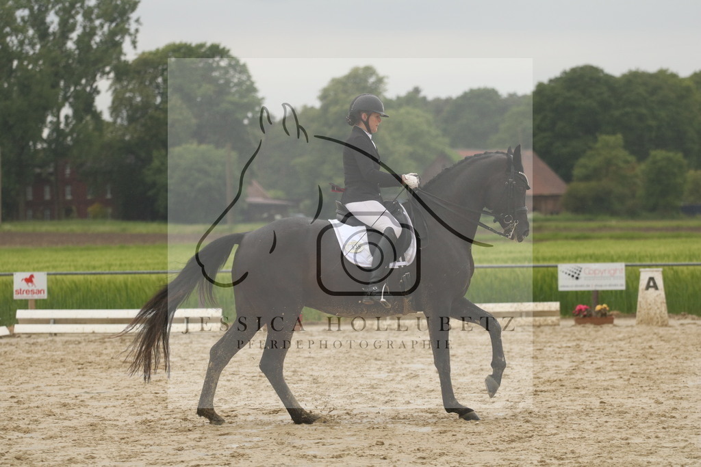 IMG_9696 | jessicahollubetz_pferdephotographie - Realisiert mit Pictrs.com