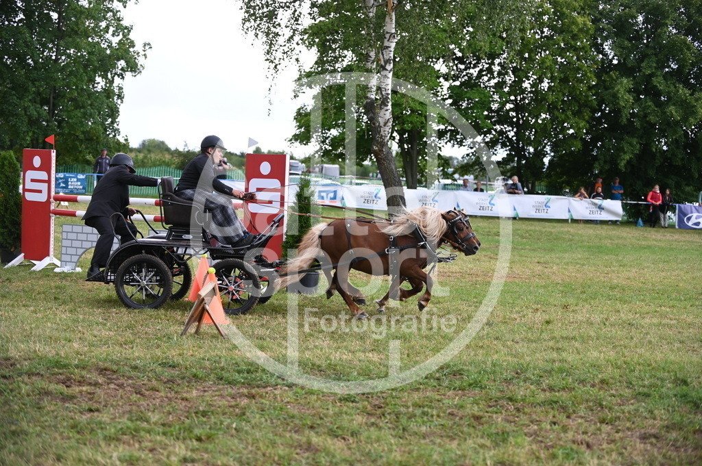 DSC_8586 | sattelsport - Realisiert mit Pictrs.com