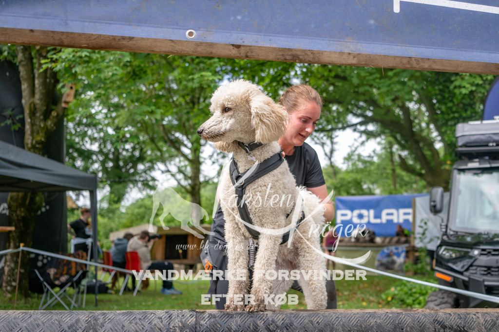 1005_ZZ93895 | kk-dogfotos