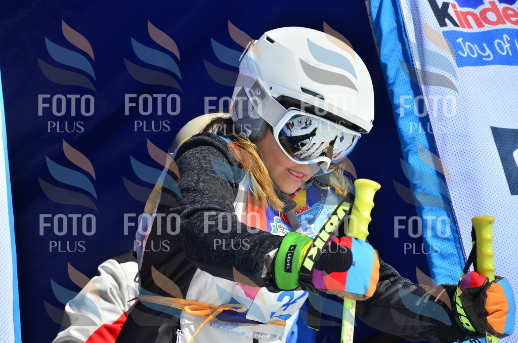 _ELE0005 | holidayphoto