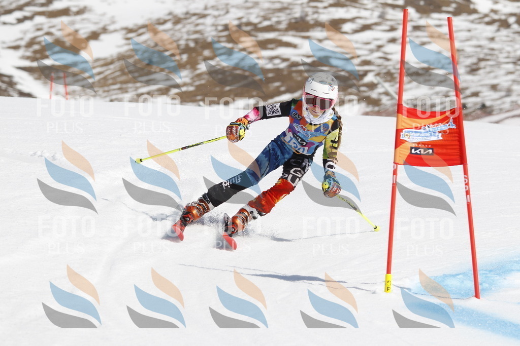 _U3G0858 | holidayphoto