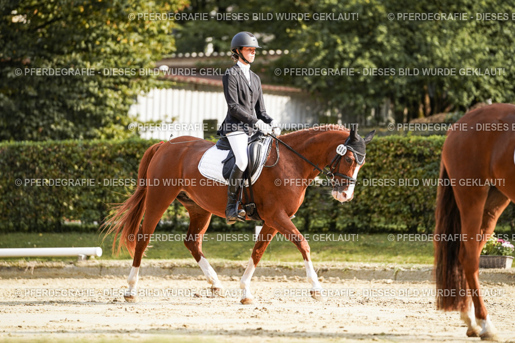 DSC06018 | Pferdegrafie