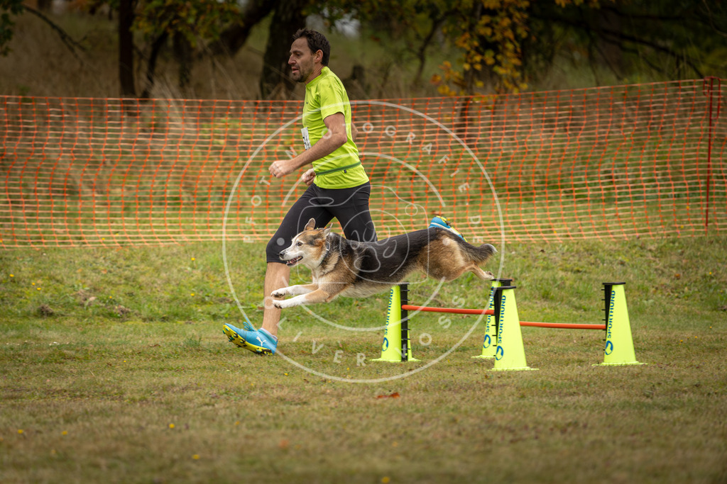 Pfotenfotografie_DV3A5674 | Hundefotografie, Tierfotograf, Pfotenfotografie, Fotoshooting Hund, Hunde Portrait, Hundesport, Hundeportraits, Heideshooting, Hunde, Sportfotograf, Hundefotograf, Turnierhundsport, THS,  - Realisiert mit Pictrs.com