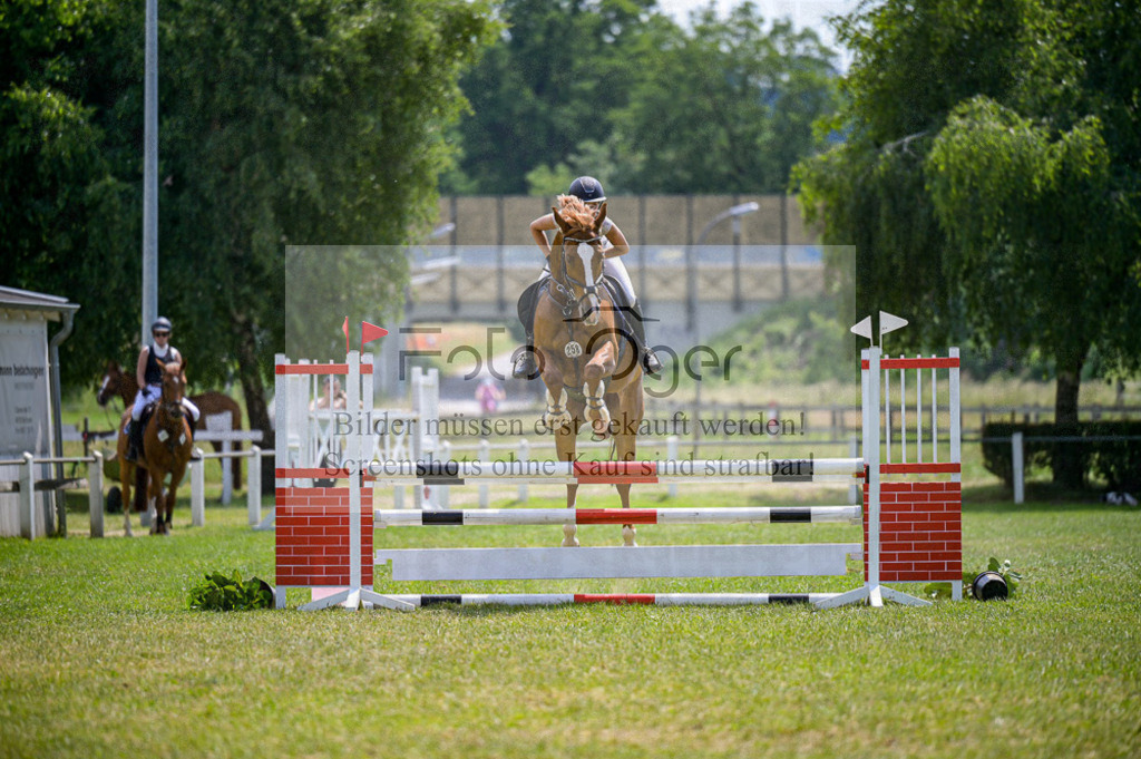 Reitturnier Voxtrup | Entdecke hochwertige Reitturnierfotos von Foto Oger. Professionell, emotional und authentisch – jetzt Lieblingsmomente im Shop bestellen.Deutschlandweite Turnierfotografie. - Realisiert mit Pictrs.com