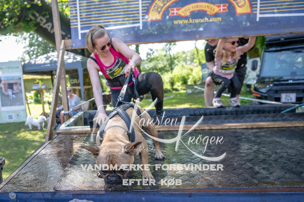 1434_ZZ94471 | kk-dogfotos