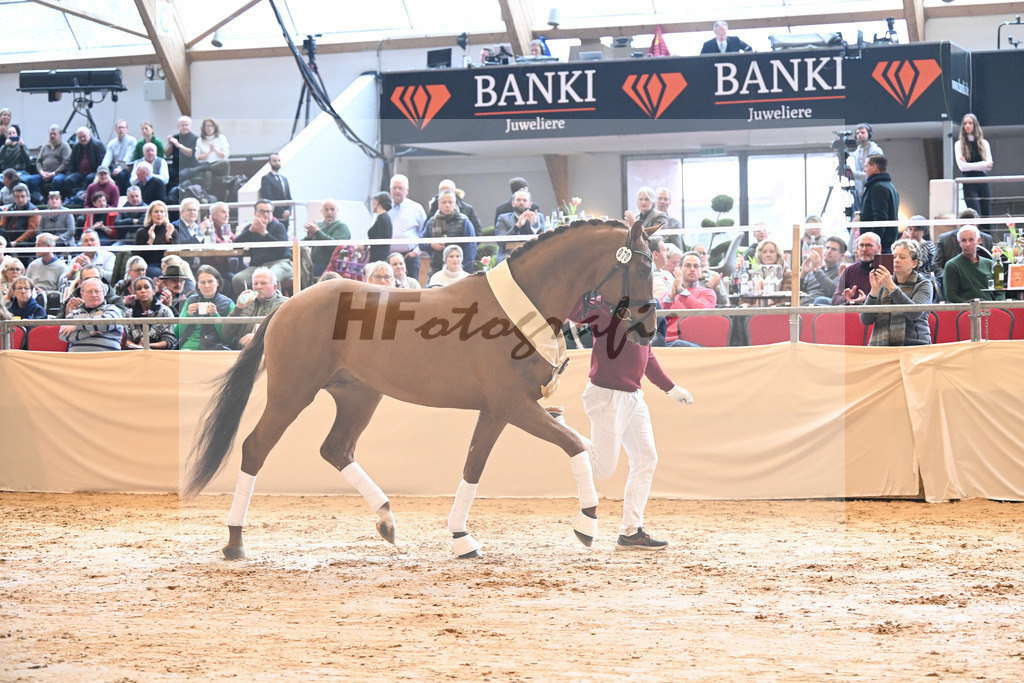 Kat-Nr. 78 Viva Gold_Casper u Eulich_1232234 | hf-fotografie - Realisiert mit Pictrs.com