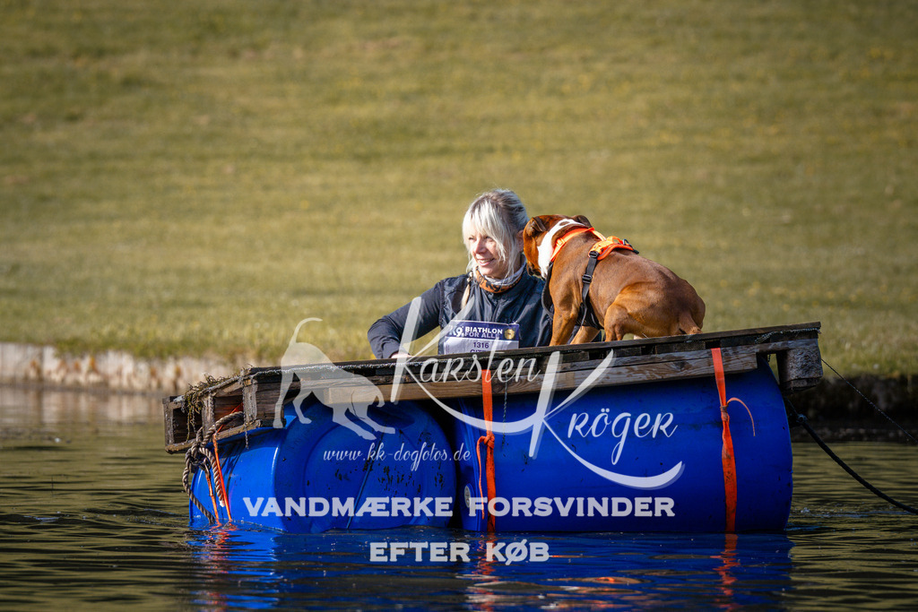 _ZZ945490717 | kk-dogfotos