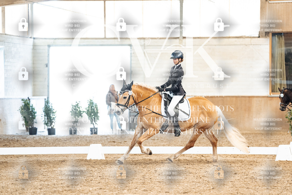 CK900206 | Turnierfotografie Pferdefotografie Trier Rheinland-Pfalz Pferdesport Reitsport Tierfotografie Sportfotografie Pferdevideo Pferdevideografie Equestrianvideography equestrianphotography  - Realized with Pictrs.com