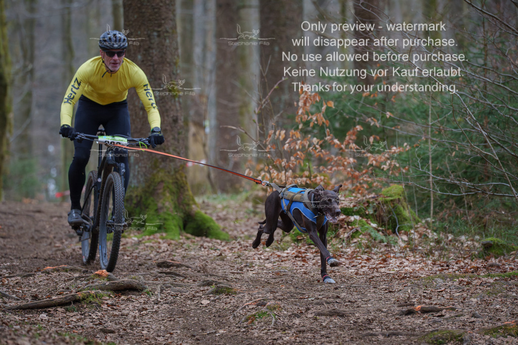 Bike_So-11 | stephaniefillaphotographie - Realisiert mit Pictrs.com