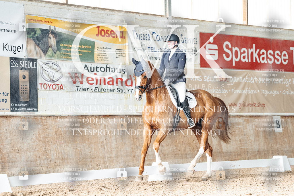CK902821 | Turnierfotografie Pferdefotografie Trier Rheinland-Pfalz Pferdesport Reitsport Tierfotografie Sportfotografie Pferdevideo Pferdevideografie Equestrianvideography equestrianphotography  - Realisiert mit Pictrs.com