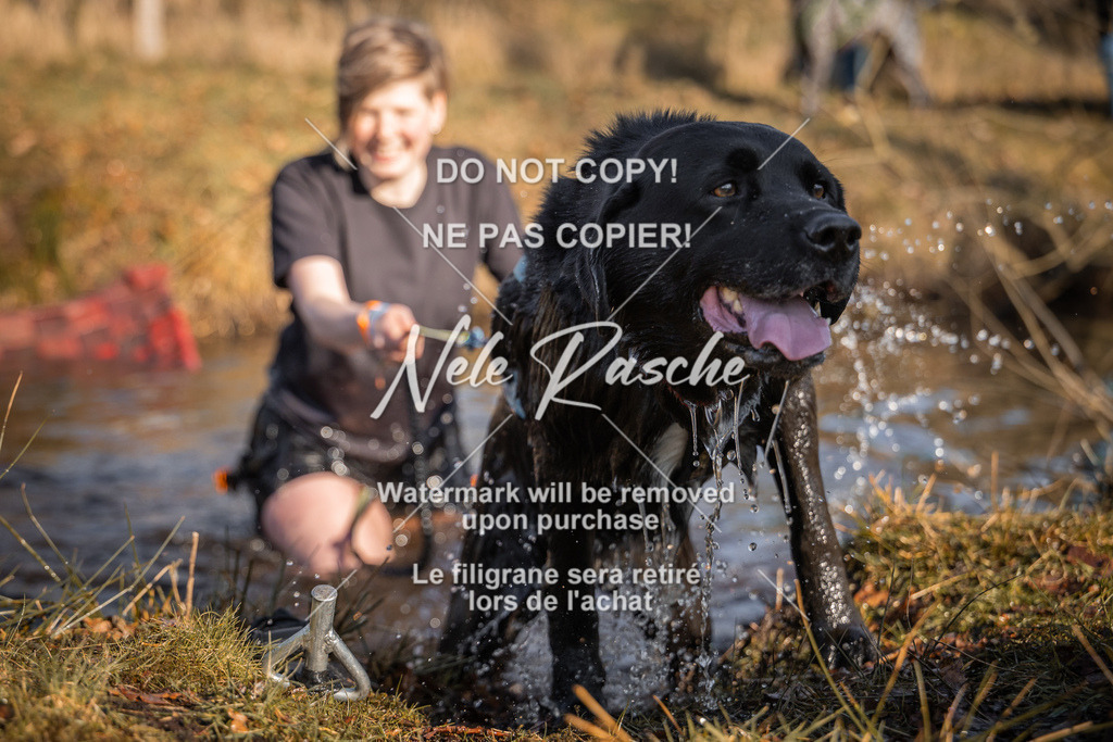 nelerasche_FS0900-1000_25 | nelerasche