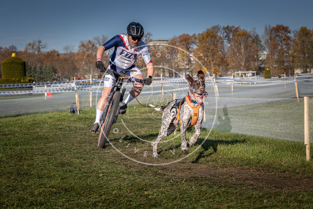 CaniXpix_0L8A5199 | Hundefotografie, Tierfotograf, Pfotenfotografie, Fotoshooting Hund, Hunde Portrait, Hundesport, Hundeportraits, Heideshooting, Hunde, Sportfotograf, Hundefotograf, Turnierhundsport, THS,  - Realisiert mit Pictrs.com