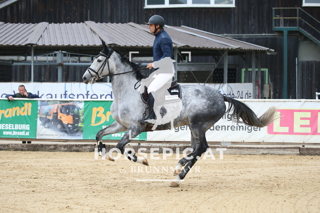 DL2Q0675 | Willkommen bei Brunnmayr - Design & Fotografie – Ihrem Spezialisten für Reitturniere und Pferdeveranstaltungen in Oberösterreich, Salzburg und Bayern! Seit über 17 Jahren sind wir leidenschaftlich dabei.