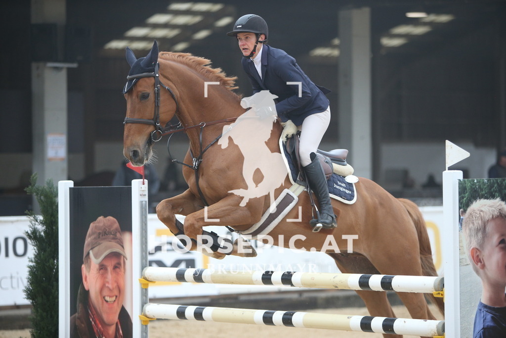 PP012672 | Willkommen bei Brunnmayr - Design & Fotografie – Ihrem Spezialisten für Reitturniere und Pferdeveranstaltungen in Oberösterreich, Salzburg und Bayern! Seit über 17 Jahren sind wir leidenschaftlich dabei.