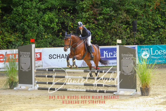 DKP40215 | Turniersportfotografie; Pferdefotografie; Dressurfotografie