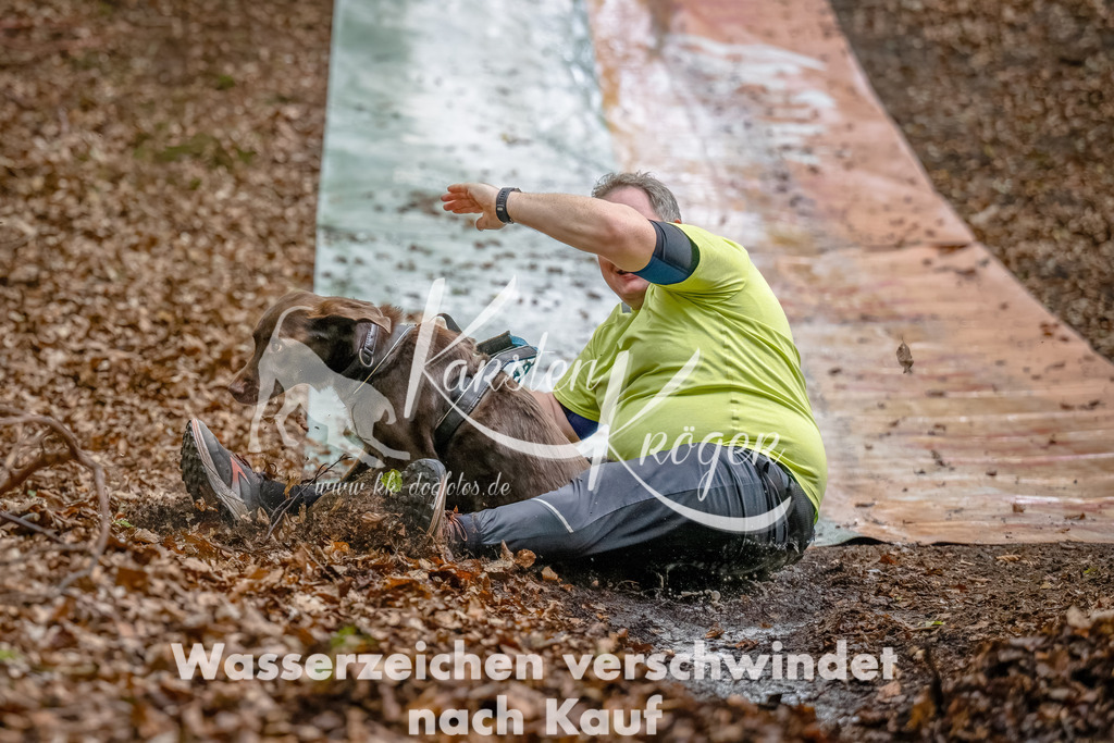 1112_ZZ90241-Bearbeitet | kk-dogfotos