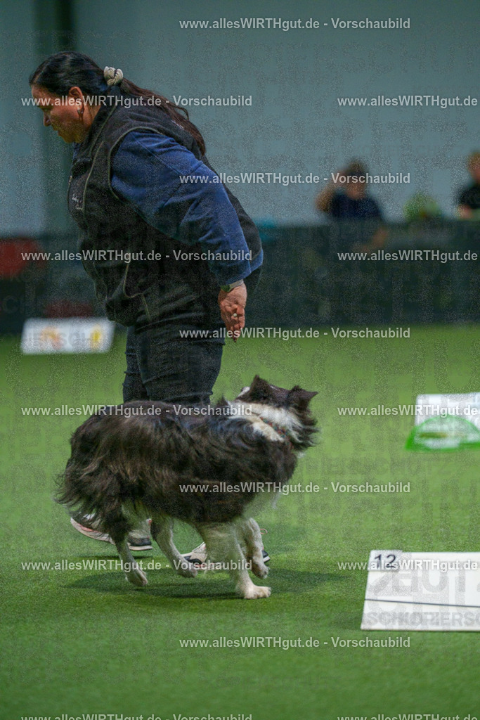 7R500267 | Professionelle Tierfotografie in Mönchengladbach von Daniel Wirth (allesWIRTHgut). Liebevolle & natürliche Bilder von Hunden & Katzen für unvergessliche Erinnerungen.