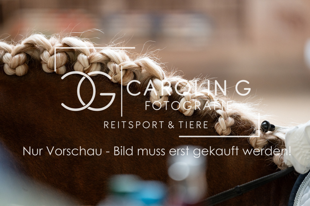 DSC03103 | Turnierfotografin Carolin Gieschke, Turnierfotografie Carolin G Fotografie, Turnierfotos Kirchheim/Teck, Esslingen, Stuttgart, Bodenseekreis