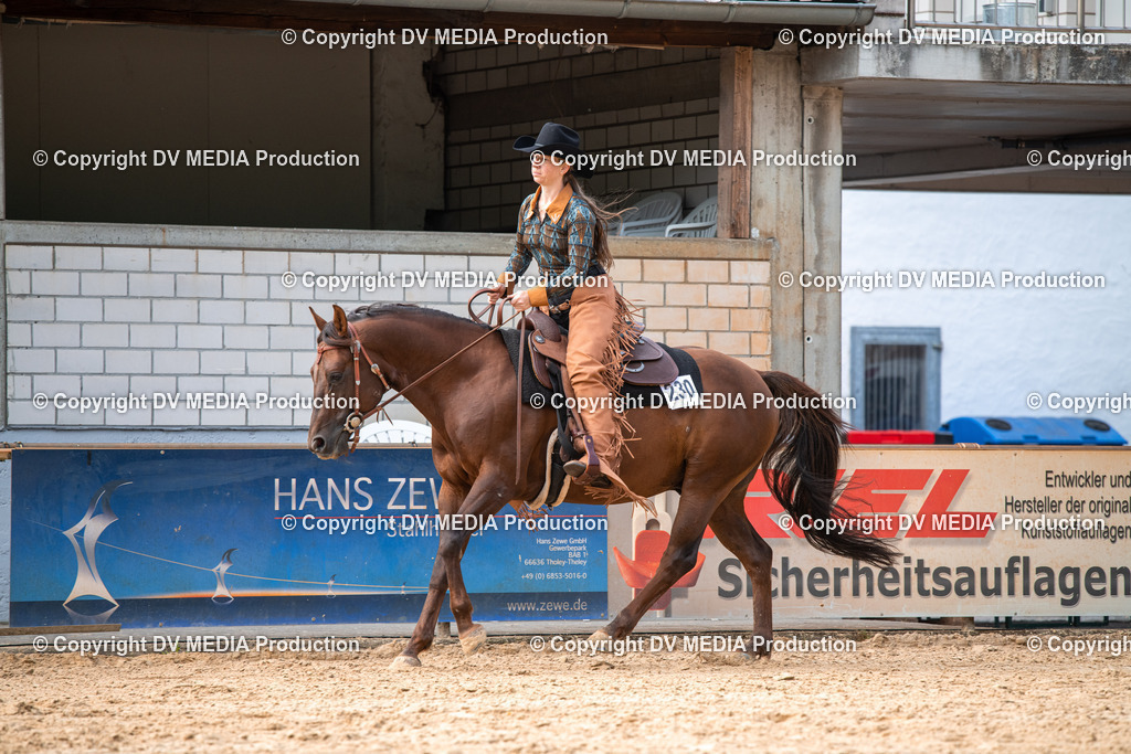 EWP_5697 | dv-media-shop - Realisiert mit Pictrs.com