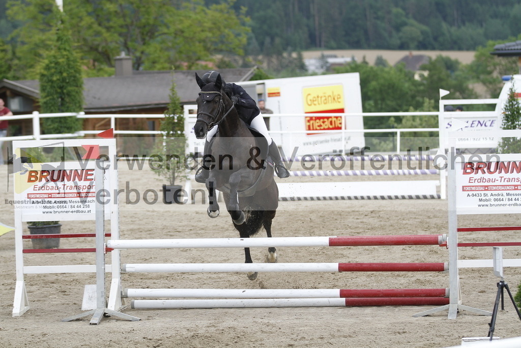 _MG_1187 | equestrian-live-com