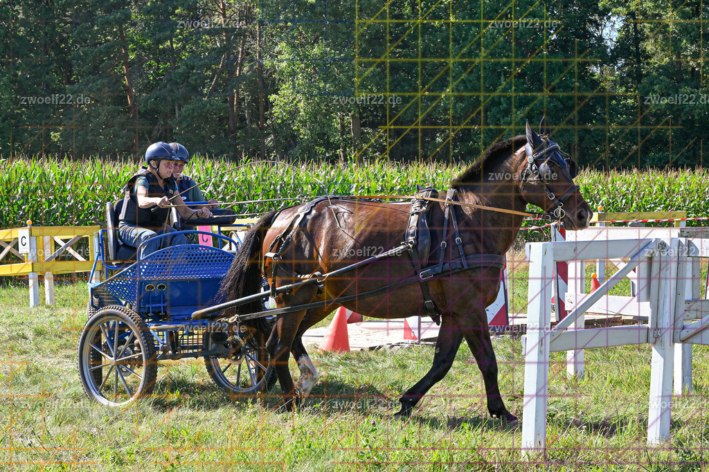 30 Jahre RFV Pulsnitz e.V., Pulsnitz am 09.08.2026 | 30Jahre Reit- und Fahrverein Pulsnitz e.V., Pulsnitz am 08.08.2026Zur 28. breitensportlichen Veranstaltung des RFV Pulsnitz e.V. fanden verschiedene Wettbewerbe in nahezu allen Disziplinen des Pferdesport statt.- Geländefahr-Wettbewerb - Realisiert mit Pictrs.com