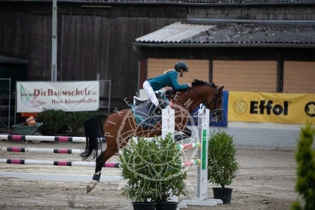 2B4A1819 | pixelfaenger - Realisiert mit Pictrs.com