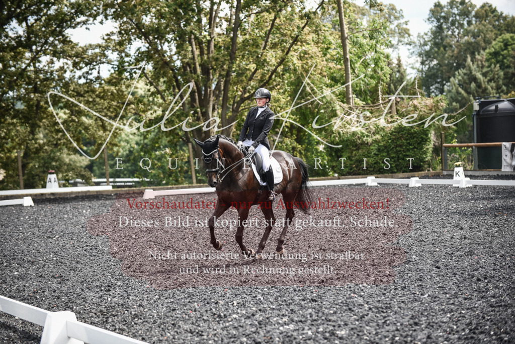DSC_4819 | Pferde- und Turnierfotografie in Westsachsen. Pferdeportraits, Auftragszeichnungen und intuitive Kunst.