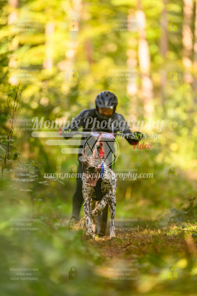 MompixPhotography_Yens2025_B3-10 | PayLife