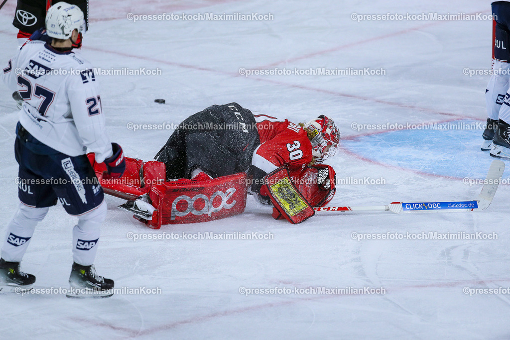 KoeDEL08032401063 | 08.03.2024, Köln, Eishockey, Penny DEL, 52. Spieltag, Lanxess-Arena, Kölner Haie - Adler Mannheim: Torhüter Mirko Pantkowski (Kölner Haie) liegt neben Yannick Proske (Adler Mannheim) auf dem Eis