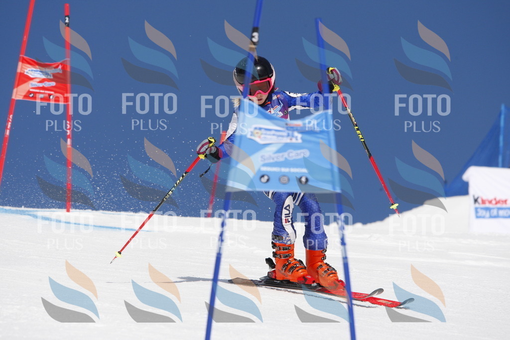 _W1G1558 | holidayphoto