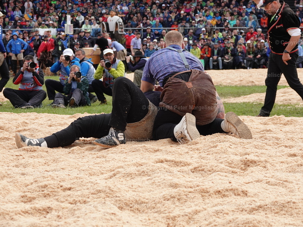 DSC08022 | Schwingen - Realisiert mit Pictrs.com