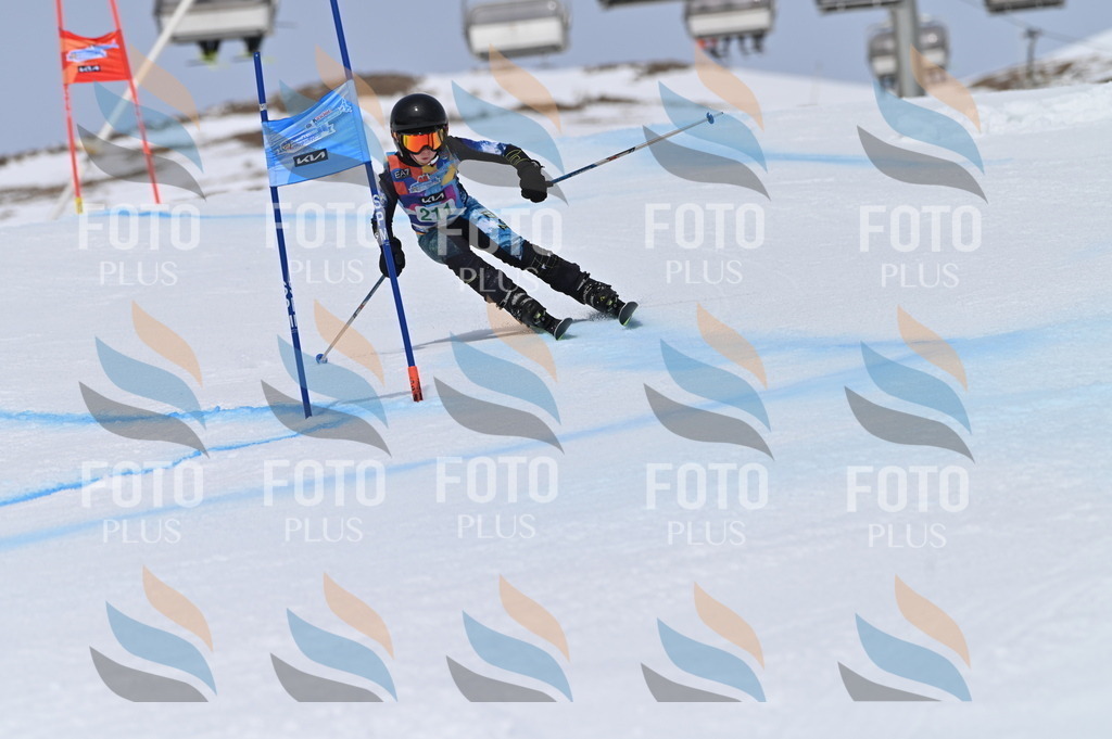 BGV_4081 | holidayphoto