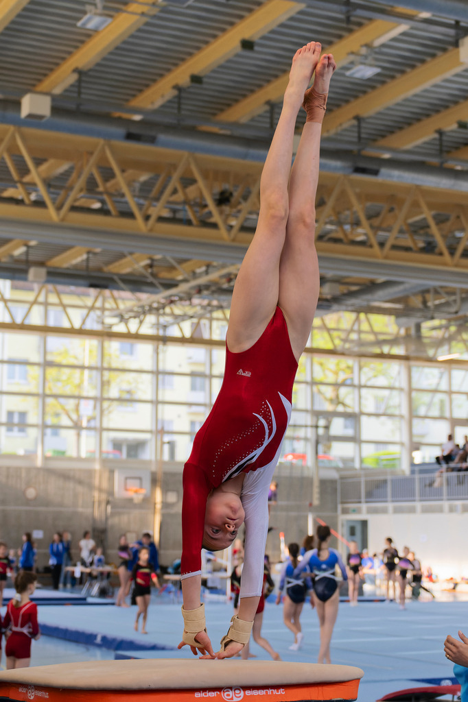 _DSC2010_DxO-1 | photoluigi