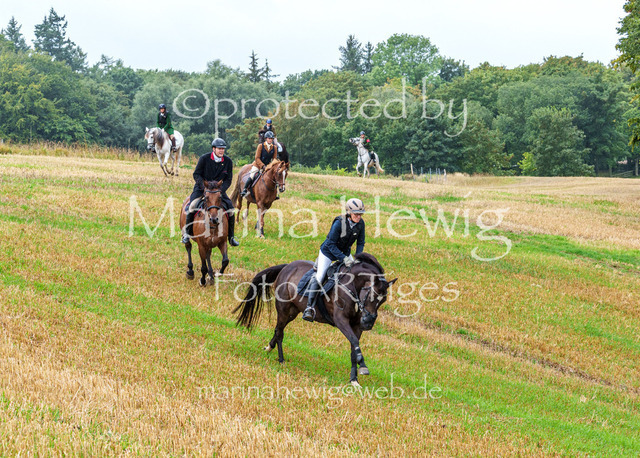 Jagd Kletkamp 26-02895_MarinaHewig | Fotografie, FotoArt, PferdesportArt, Pferdesportfotografie, Landschaftsfotografie, Reisefotografie, Reise, Pferde - Realisiert mit Pictrs.com