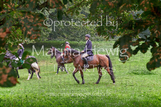 09-23 JAgd PerdölDSC01966_Marina Hewig | Fotografie, FotoArt, PferdesportArt, Pferdesportfotografie, Landschaftsfotografie, Reisefotografie, Reise, Pferde - Realisiert mit Pictrs.com