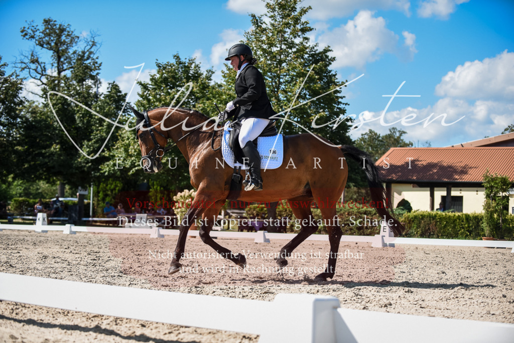 DSC_9640 | Pferde- und Turnierfotografie in Westsachsen. Pferdeportraits, Auftragszeichnungen und intuitive Kunst.